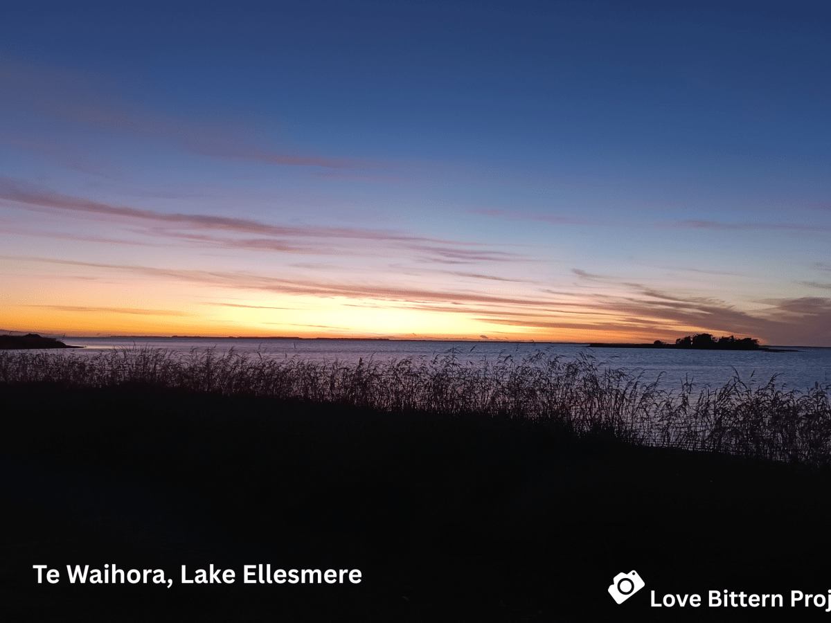 Te Waihora is&nbsp;alive!