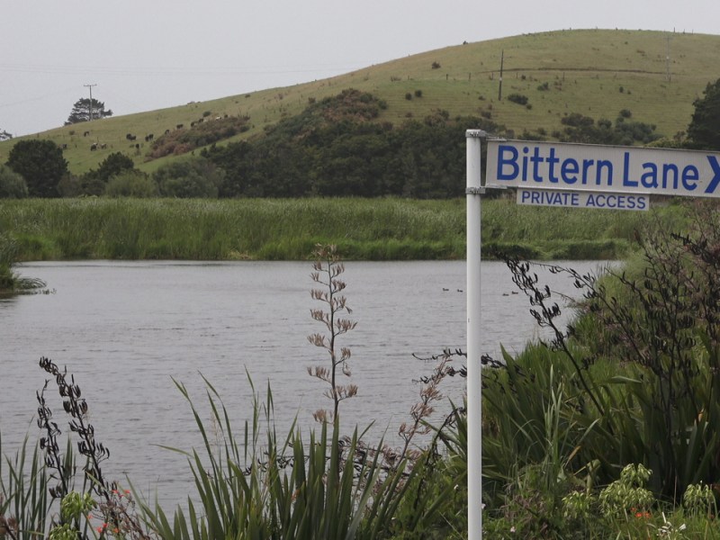 Beyond wetlands and&nbsp;Bittern.