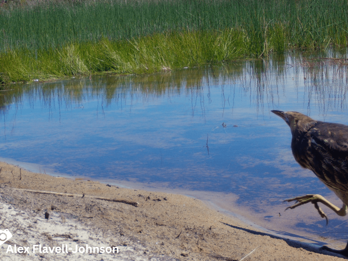 Start where you&nbsp;are,